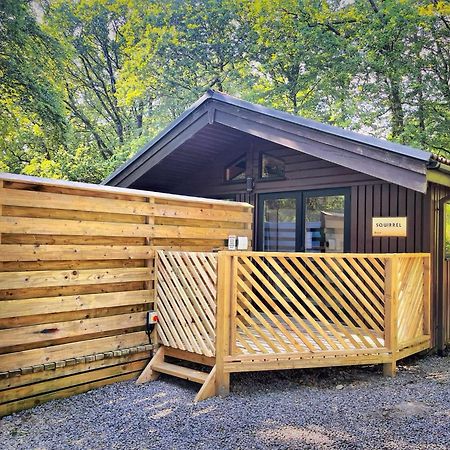 The Squirrel Lodge - Hot Tub - Pet Friendly - Pembrokeshire-Tenby Carmarthen Eksteriør bilde